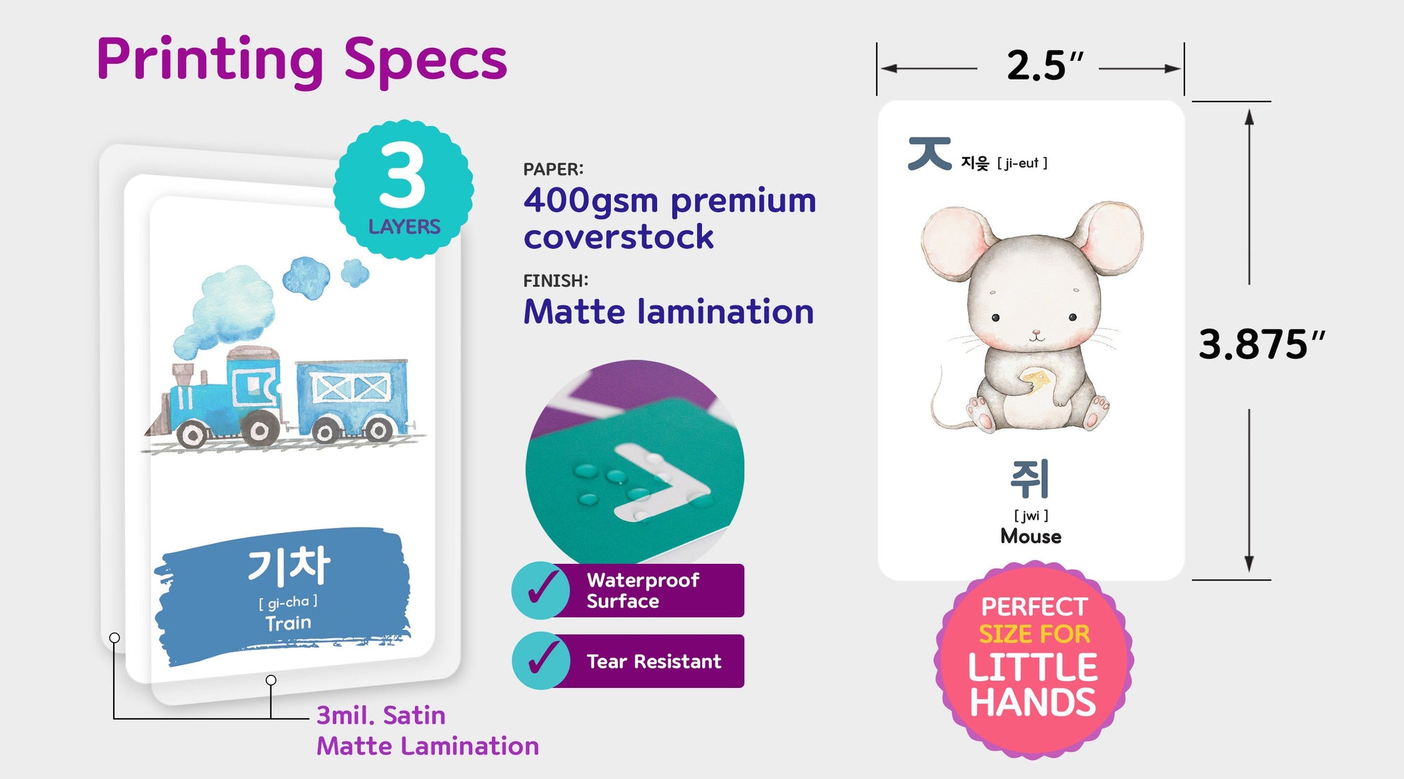 2-Pack Gift Set Korean Alphabet Flashcards